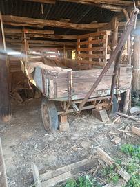 carro rimorchio agricolo 
