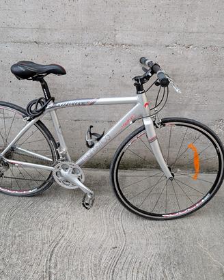 Bicicletta sportiva Wilier Marostica 