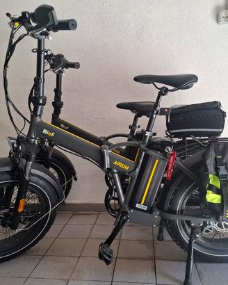 Fat Bike 