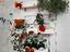 Immagine 9