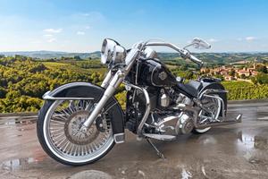 Harley Davidson chicano style