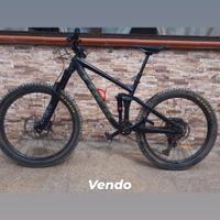 trek remedy  8 2020 