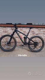 trek remedy  8 2020 