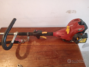 Giardiniere e/o custode