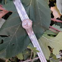 OROLOGIO DA DONNA MECCANICO CARICA MANUALE 