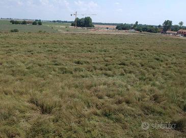 Immobile in asta di 34041 m² a Molinella
