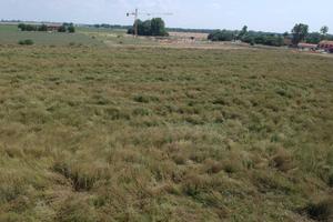 Immobile in asta di 34041 m² a Molinella