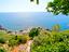 Immagine 13