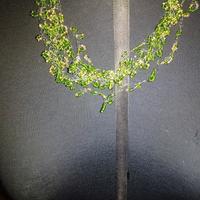 collana e bracciale fatti a mano 