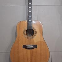 eko rio bravo 12 corde