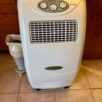 Penguin and portable fridge