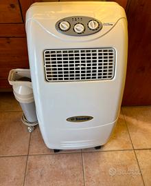 Penguin and portable fridge