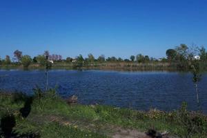 Terreno di 9200 m² a Ceneselli