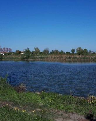 Terreno di 9200 m² a Ceneselli