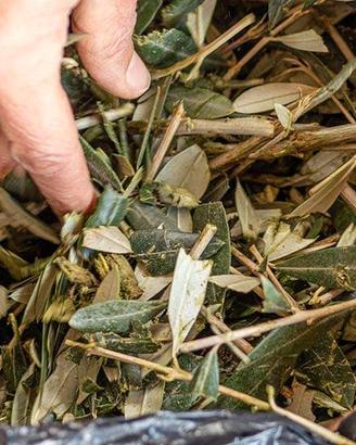 cippato, concime, pacciamatura naturale