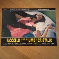 Fotobusta de L'uccello dalle piume di cristallo