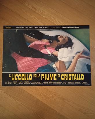 Fotobusta de L'uccello dalle piume di cristallo