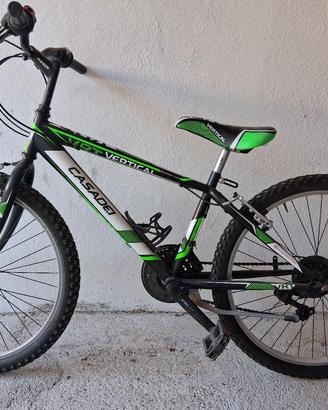 bici casadei