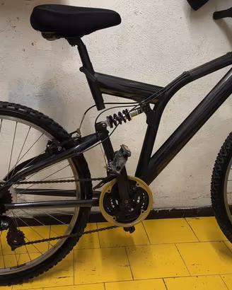 bicicletta alluminio 