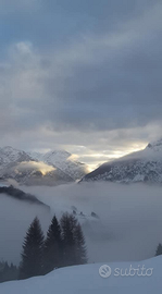 Settimane bianche in comelico