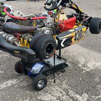 Kart KZ Taglienti TM K9c