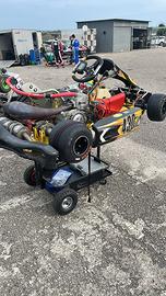 Kart KZ Taglienti TM K9c