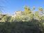 Immagine 12