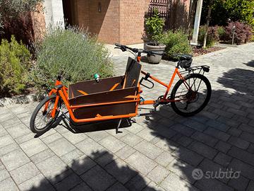 Cargo Mountainbike
