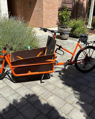 Cargo Mountainbike