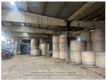 Capannone Industriale Dorzano [A4331772]