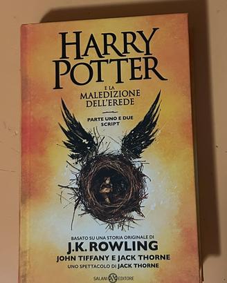 Libro harry potter e la maledizione dell’erede