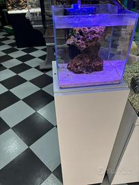 Nano cubo marino