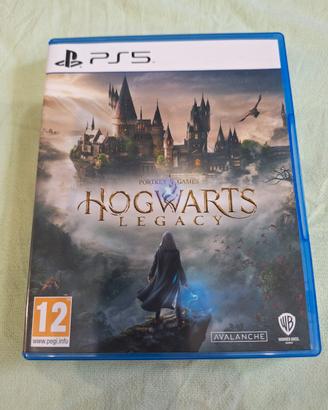 Hogwarts Legacy PS5 Valuto Proposte