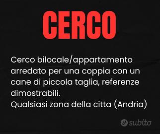 Appartamento/bilocale/trilocale