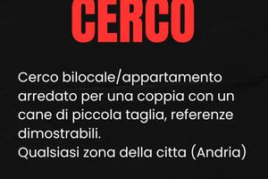 Appartamento/bilocale/trilocale