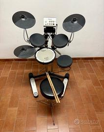 Roland HD1