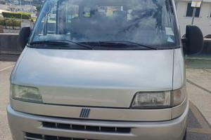 Fiat ducato panorama