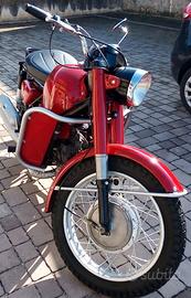 MOTO GUZZI FALCONE NF500