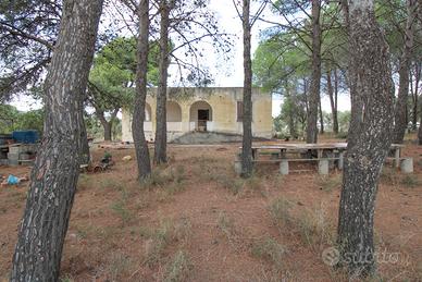 Indipendente con 7000 mq di terreno soleminis