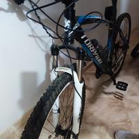 MTB 29 torpado