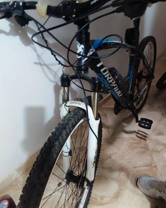 MTB 29 torpado
