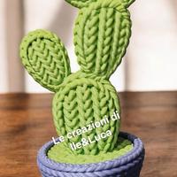 Cactus Design "Effetto Lana"