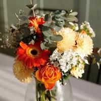 Splendido tricamere a Malo