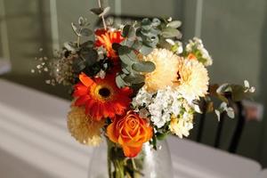 Splendido tricamere a Malo