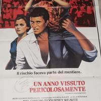 Locandina film Un anno vissuto pericolosamente 