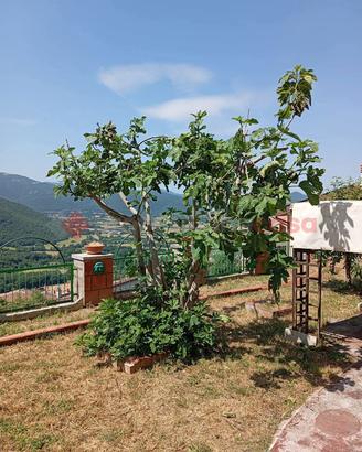 Appartamento Pereto [Cod. rif 3244601VRG]