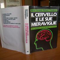 Il cervello e le sue meraviglie 40,00