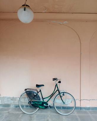 Bici da donna Gloria