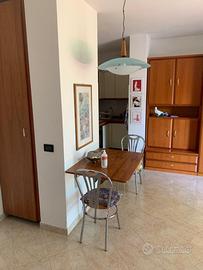 Affittasicmonolocale arredato a Lazise