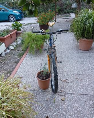 Bicicletta MTB Jumpertrek 26
